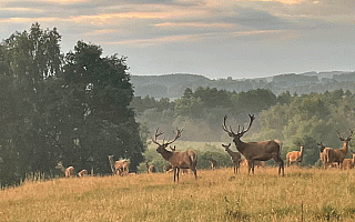 Polska Akademia Nauk i jej zarządzanie majątkiem. Posłuchaj Śliskiej Sprawy Polska Akademia Nauk i jej zarządzanie majątkiem. Posłuchaj Śliskiej Sprawy